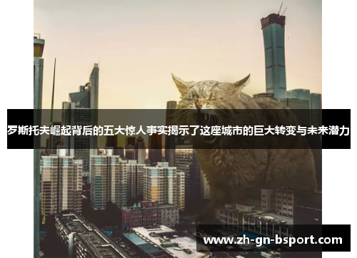 罗斯托夫崛起背后的五大惊人事实揭示了这座城市的巨大转变与未来潜力