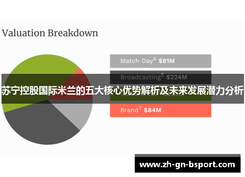 苏宁控股国际米兰的五大核心优势解析及未来发展潜力分析