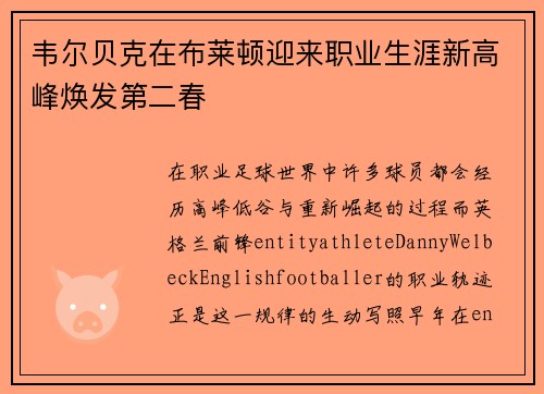韦尔贝克在布莱顿迎来职业生涯新高峰焕发第二春