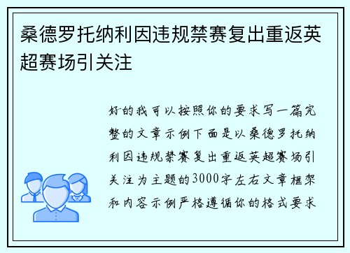 桑德罗托纳利因违规禁赛复出重返英超赛场引关注